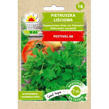 Toraf sodo petražolės Festival 68 (Petroselinum crispum) šviežių žolelių sėklos 7 m eilutei