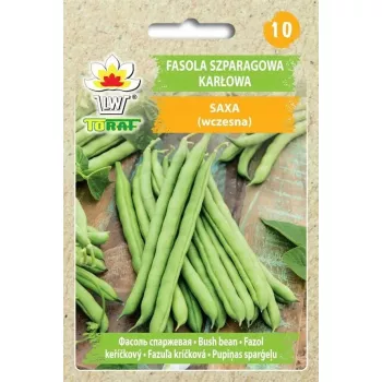 Toraf žaliosios krūminės šparaginės pupelės 'Ferrari' (Phaseolus vulgaris) sėklos, 30 g