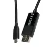 Laidas keitiklis USB Type-C 3.2 Gen 1 į DisplayPort juodas V7 V7UCDP-2M