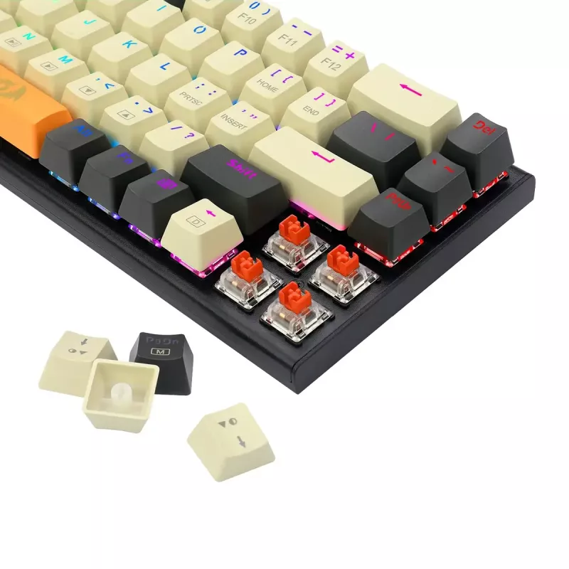 Mechaninė klaviatūra REDRAGON K633CGO-RGB Ryze, laidinė USB, juoda balta