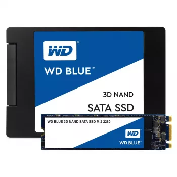 SSD diskas Western Digital 250 GB M.2 6 Gbit/s WDS250G2B0B