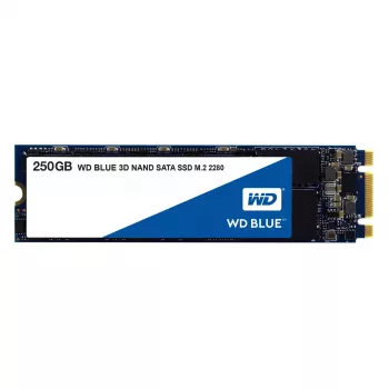 SSD diskas Western Digital 250 GB M.2 6 Gbit/s WDS250G2B0B