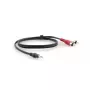 Garso kabelis Kramer Electronics C-A35M/2RAM-35 10,7 m 3,5 mm 2xRCA juodas