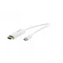 Kramer Electronics C-USBC/HM10 USB Type-C į HDMI laidas, 3 m, baltas