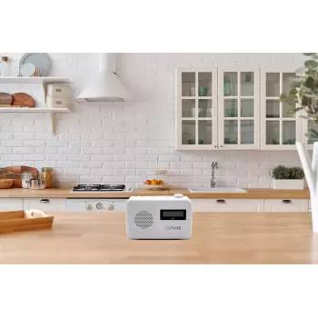 Nešiojamas radijo imtuvas Pure Elan One² DAB+ FM 1,5 W
