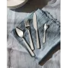 Virtuvinis stalo įrankių rinkinys ALESSI BG02S24 – peilis ir šakutė, nerūdijantis plienas