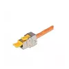 RJ45 kištukas Wirewin WKS JACK KAT6A STP EA 48, ekranuotas, metalinis