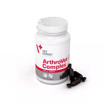 VETEXPERT ArthroVet Collagen Small breed – papildas šunims ir katėms – 60 tablečių