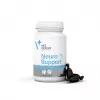 VetExpert NeuroSupport 45 kapsulės