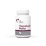 VetExpert Hepatiale Forte Large Breed 40 tabletės