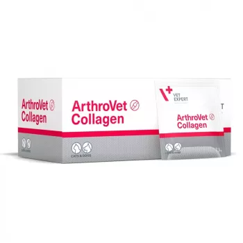 VETEXPERT ArthroVet Collagen papildai šunims ir katėms – 60 paketėlių