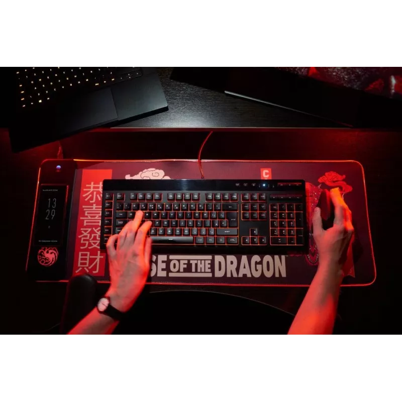 Numskull pelėdų kilimėlis House of Dragons su belaidžiu įkrovimu 30x80cm