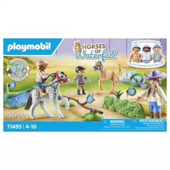 Horses of Waterfall - Ponyturnier
