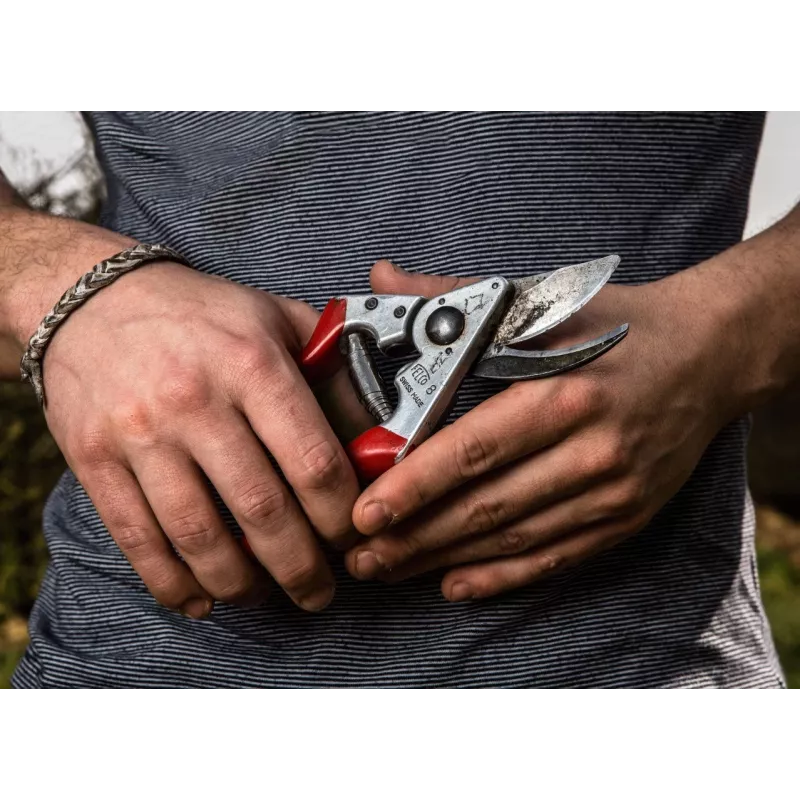 Genėjimo žirklės Felco FELCO-8_FEL