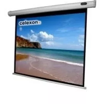 Celexon Economy elektrinis ekranas - 250 cm (98 inch) - 4:3 - motorizuotas