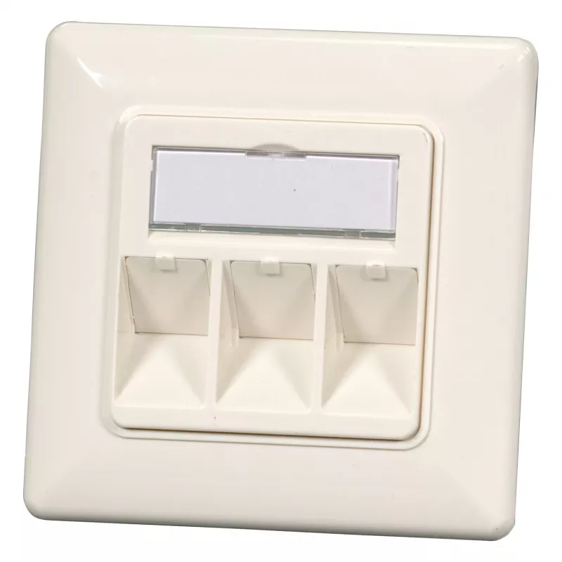 EFB Elektronik 2 prievadų Keystone rėmelio rinkinys ET-25091 – tiesiam DIN49075 lizdui, RAL9003 baltas, 80×80 mm rėmas su 50×50 mm centrine plokšte