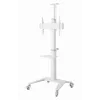 Grindinis TV stovas 37-70 colių baltas TVS-70T-02-W Gembird