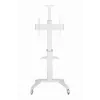 Grindinis TV stovas 37-70 colių baltas TVS-70T-02-W Gembird