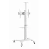 Grindinis TV stovas 37-70 colių baltas TVS-70T-02-W Gembird