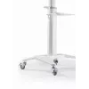 Grindinis TV stovas 37-70 colių baltas TVS-70T-02-W Gembird