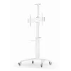 Grindinis TV stovas 37-70 colių baltas TVS-70T-02-W Gembird