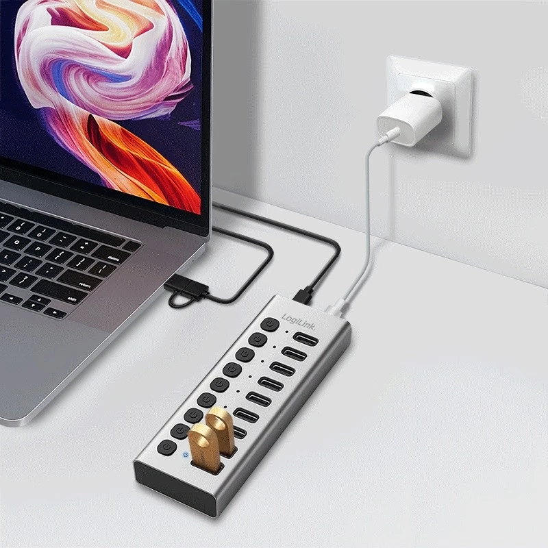 USB 3.2 Gen1 10 prievadų USB-A/C šakotuvas su atskirais jungikliais
