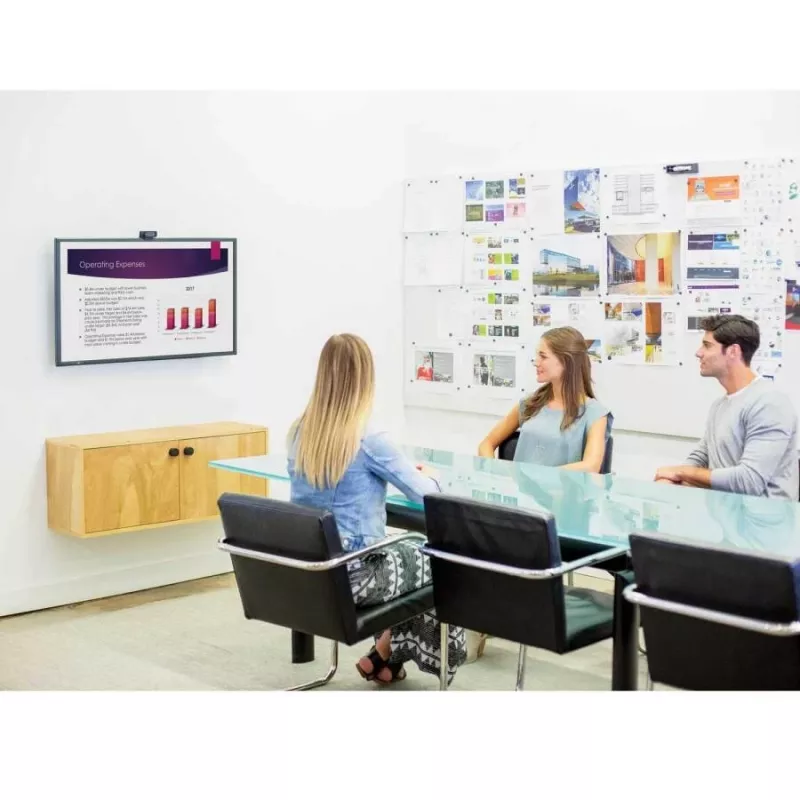 Fellowes Ergonomics sieninis TV laikiklis
