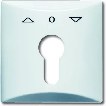 Tinklo įrenginys Busch-jaeger 2CKA001710A1829