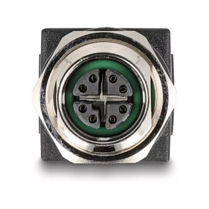 Delock M12 adapteris X-koduotas 8 kontaktų lizdas į RJ45 lizdą tiesus