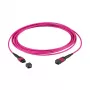 EFB MTP(F)-MTP(F) jungiamasis laidas OM4 12 gyslų B tipo LSZH šviesiai violetinis 0,5 m