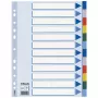 Esselte skirtukai PP A4 12 dalių, tuščias indeksas, PVC, įvairiaspalviai