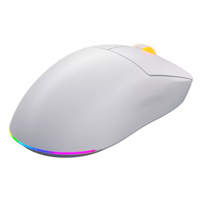 HATOR Quasar 3 Wireless pelė žaidimams Ambidextrinė RF Wireless + Bluetooth + USB Type-A Optinė 12000 DPI