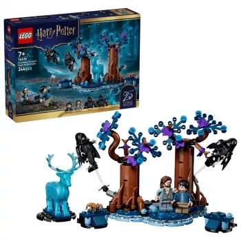 LEGO Harry Potter 76475 Užburtas miškas: Expecto Patronum (244 dalių)