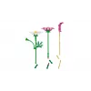 LEGO Botanicals 11514 Kosmoso gėlės (171 detalė)