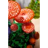 LEGO Botanicals 11505 Miško grybai (806 dalių)