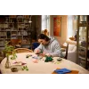 LEGO Botanicals 11505 Miško grybai (806 dalių)