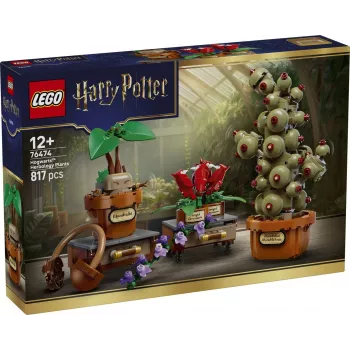 LEGO Harry Potter 76474 Hogvartso Augalija Žolelių Pasaulis (817 dalių)