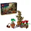 LEGO Harry Potter 76474 Hogvartso Augalija Žolelių Pasaulis (817 dalių)