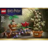 LEGO Harry Potter 76474 Hogvartso Augalija Žolelių Pasaulis (817 dalių)
