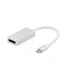 VALUE USB3.2 Gen2 Display Adapter USB-C į DisplayPort 4K60Hz Aliuminis