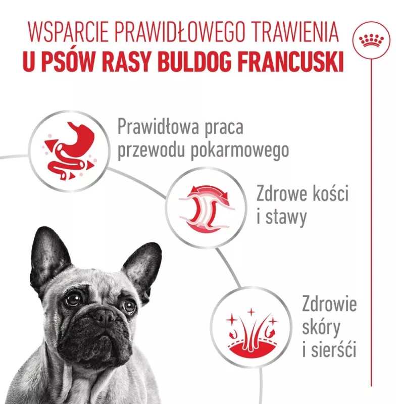 ROYAL CANIN French Bulldog Adult Digestive Health Loaf Box - šlapias šunų maistas - 12x85g