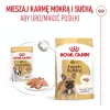 ROYAL CANIN French Bulldog Adult Digestive Health Loaf Box - šlapias šunų maistas - 12x85g