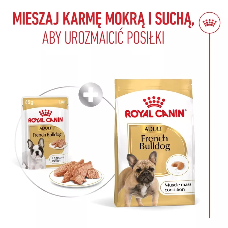 ROYAL CANIN French Bulldog Adult Digestive Health Loaf Box - šlapias šunų maistas - 12x85g