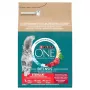Purina ONE Sausas Kačių Maistas su Jautiena ir Kviečiais 2,8 kg