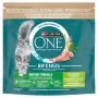 Purina ONE Indoor Formula Cat Turkey 1,4kg