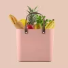 Rotho Multibag Albula Style 25L laikymo dėžė, Meadow Rose