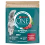 Purina ONE Adult Dry Cat Food with Beef and Whole Grains 750g