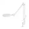 NEDIS MAGLE2WT stalinis didinamasis stiklas su LED šviesa, 2x/4x didinimas, baltas