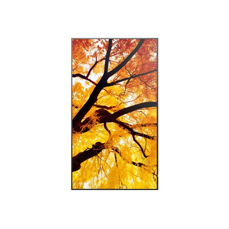 Sharp MultiSync M652 65 colių 4K UHD profesionalus ekranas 550 cd/m² 24/7