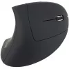 Equip 245110 Vertikali ergonomiška belaidė pelė – dešinei rankai, 2,4 GHz, USB imtuvas, juoda